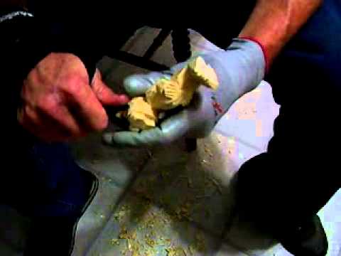 Carving A Bear Part 7