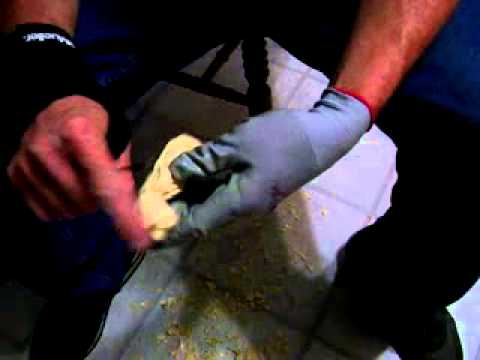 Carving A Bear Part 8