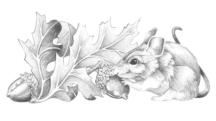 Autumn Mouse Relief Carving