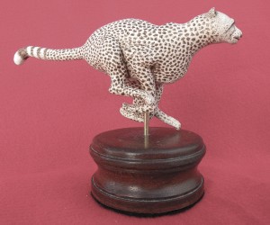 ZU-Moss - cheetah